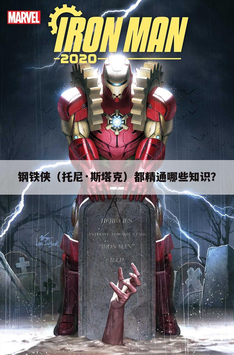 钢铁侠(托尼·斯塔克)都精通哪些知识?