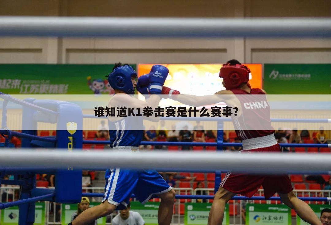 谁知道K1拳击赛是什么赛事?