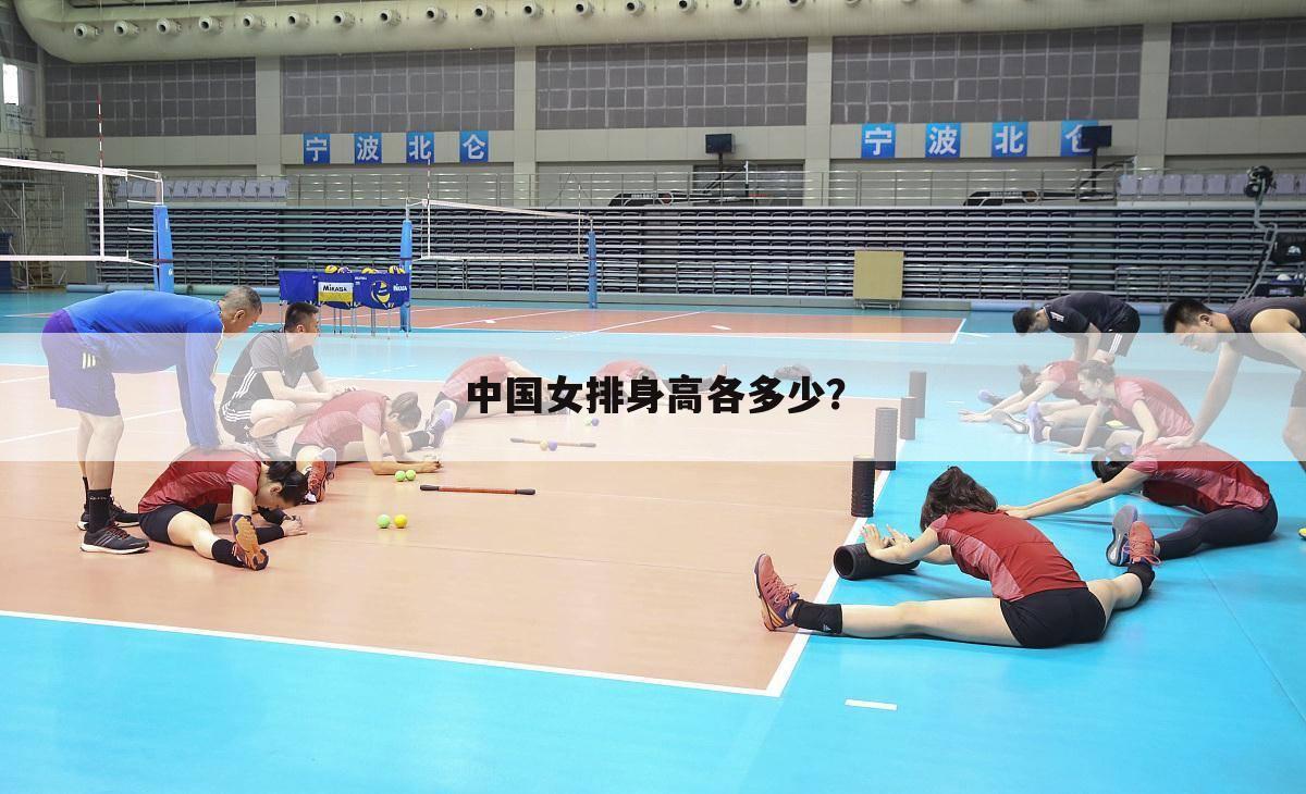中国女排身高各多少?