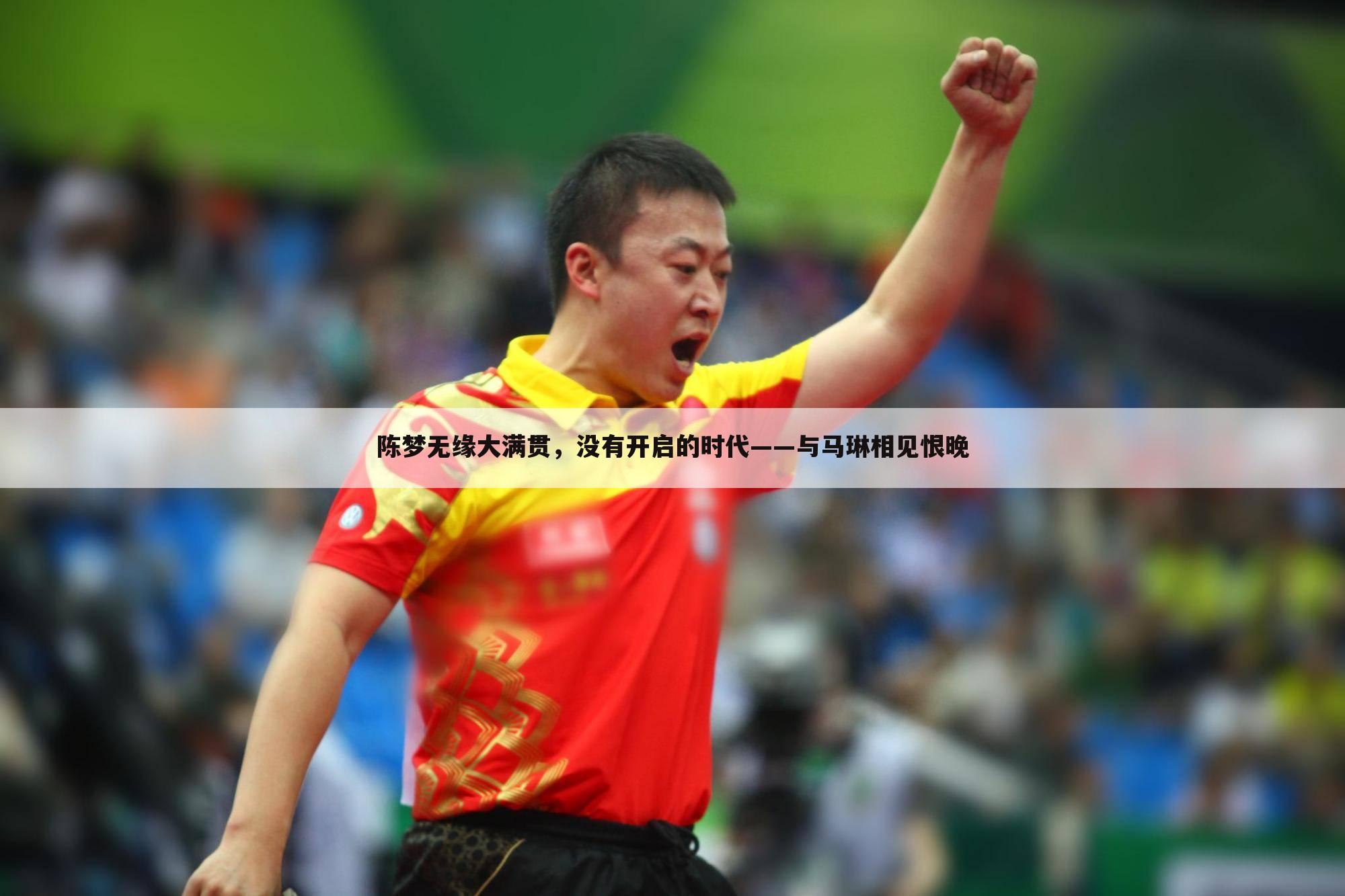 陈梦无缘大满贯,没有开启的时代——与马琳相见恨晚