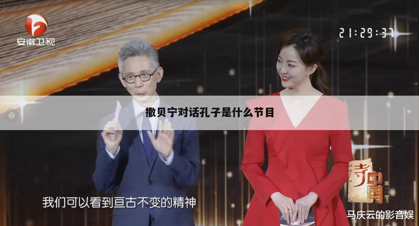 撒贝宁对话孔子是什么节目
