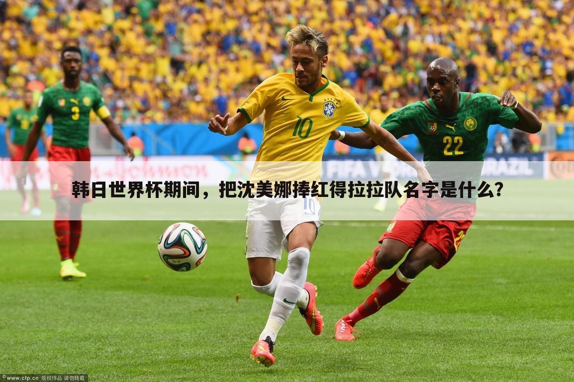 韩日世界杯期间,把沈美娜捧红得拉拉队名字是什么?