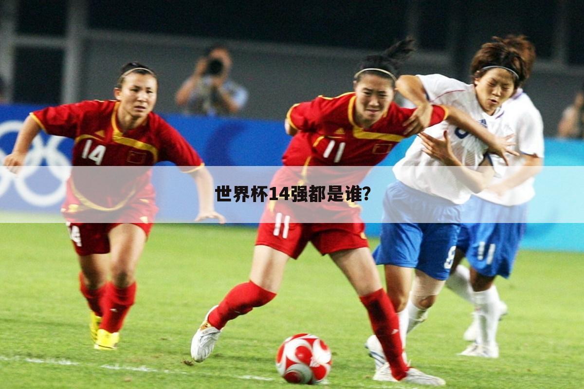 世界杯14强都是谁?
