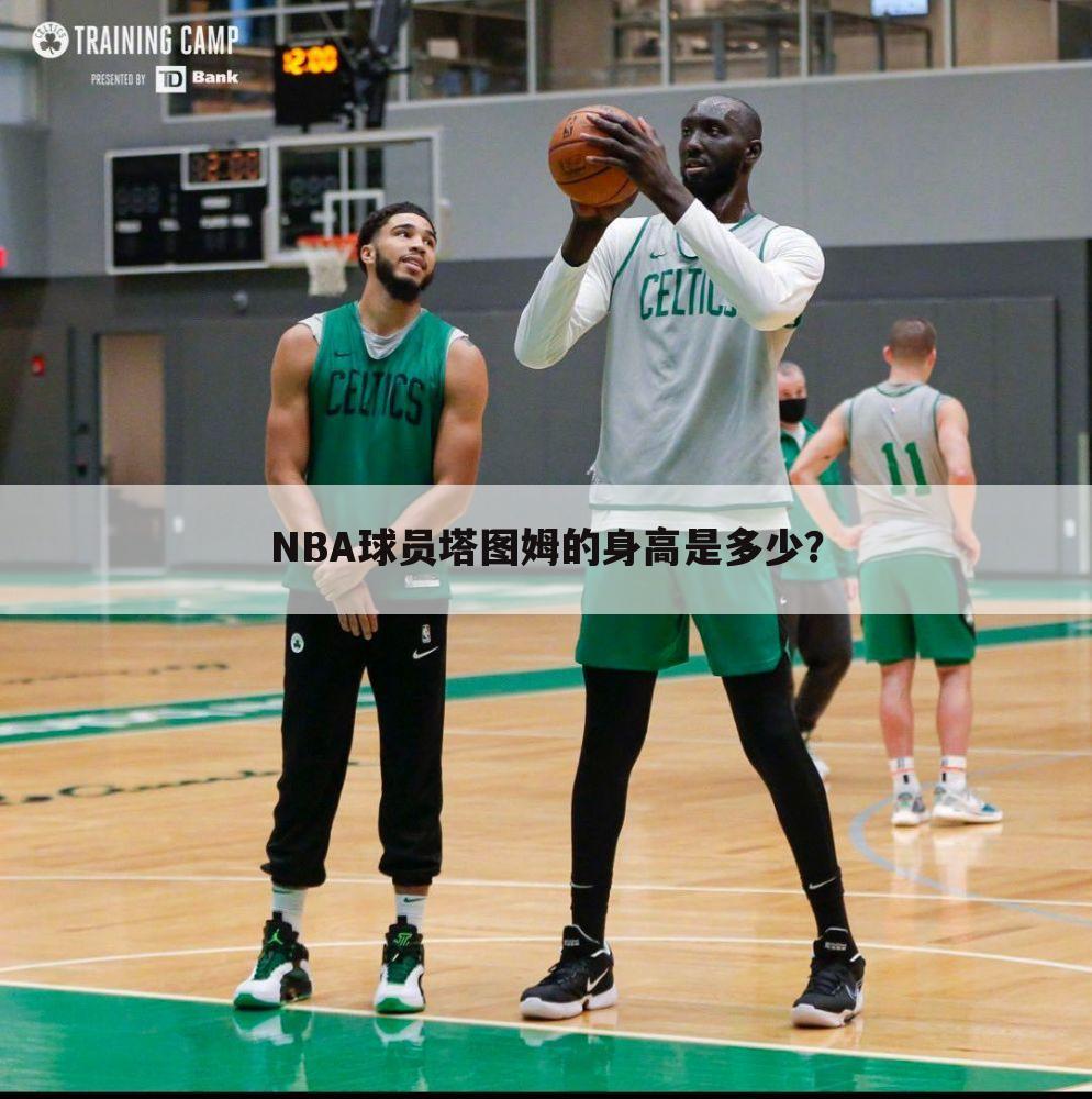 NBA球员塔图姆的身高是多少?