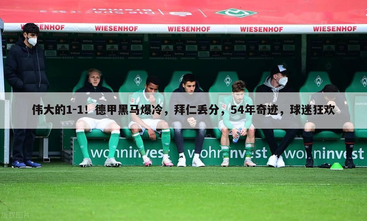 伟大的1-1!德甲黑马爆冷,拜仁丢分,54年奇迹,球迷狂欢