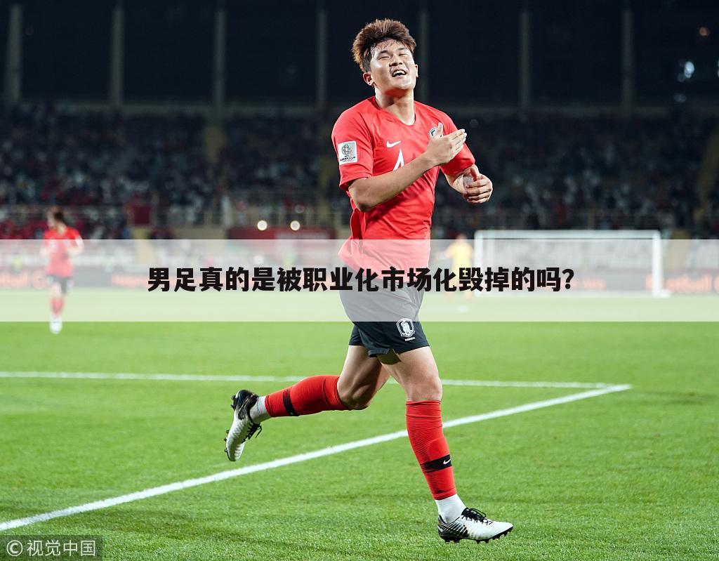 男足真的是被职业化市场化毁掉的吗?