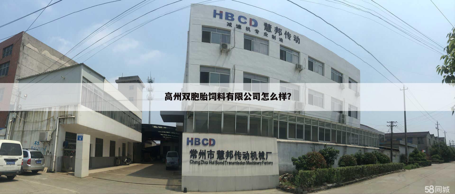 高州双胞胎饲料有限公司怎么样?