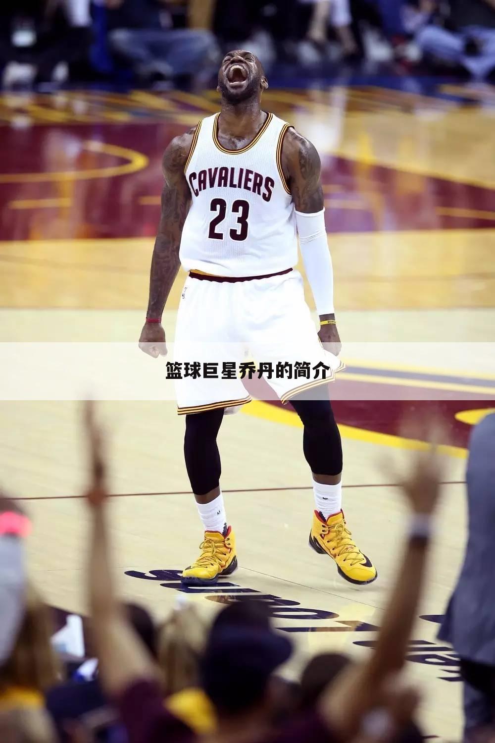 篮球巨星乔丹的简介