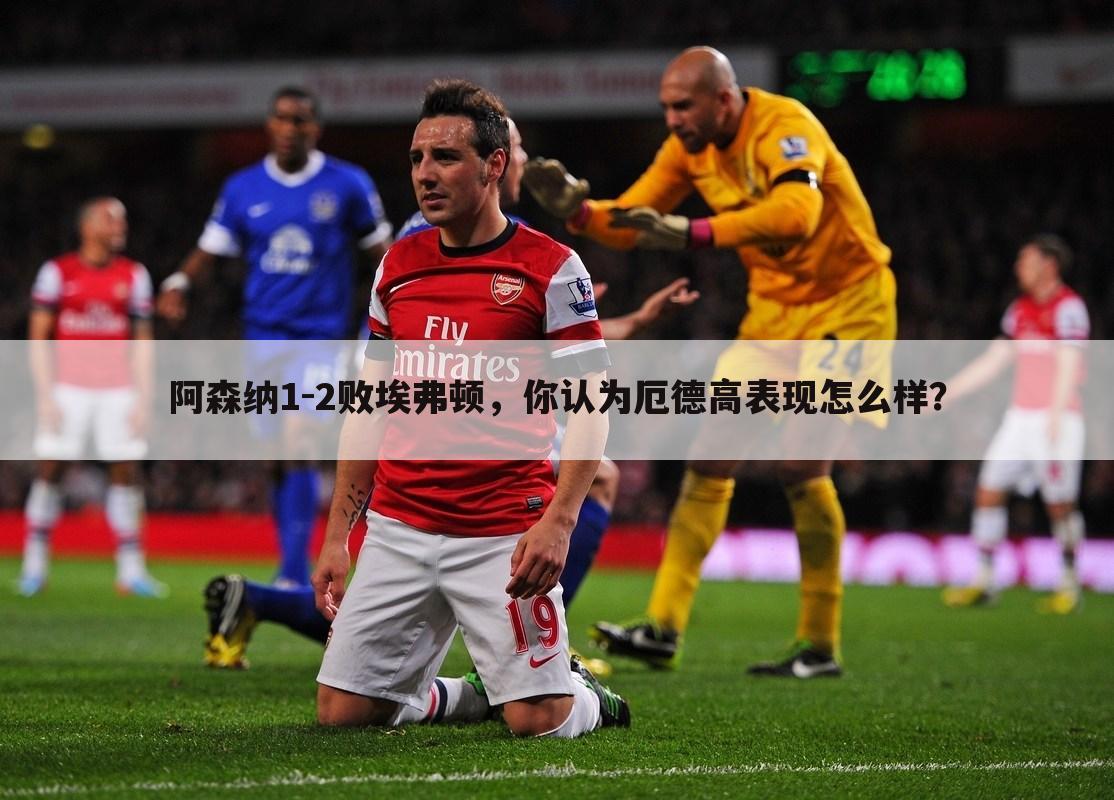 阿森纳1-2败埃弗顿,你认为厄德高表现怎么样?