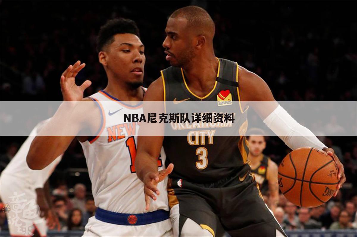 NBA尼克斯队详细资料