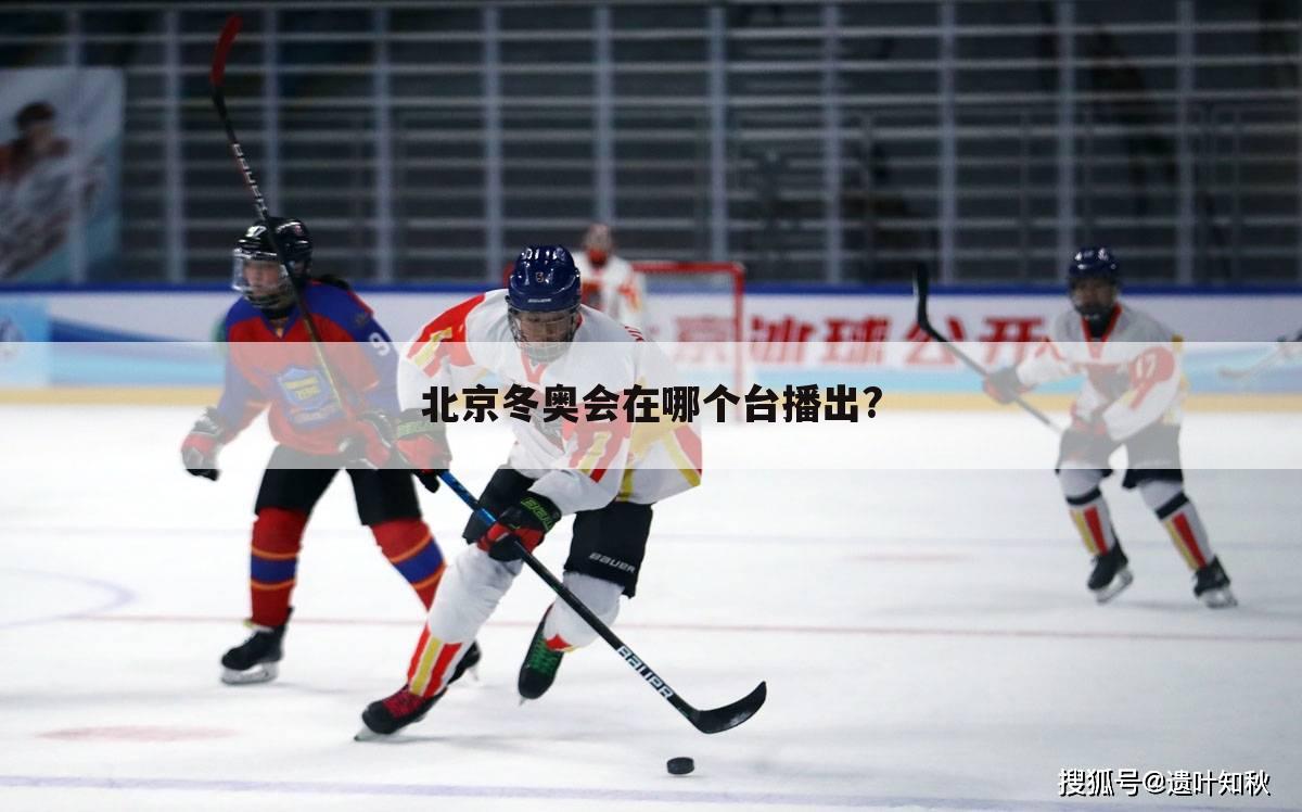 北京冬奥会在哪个台播出?
