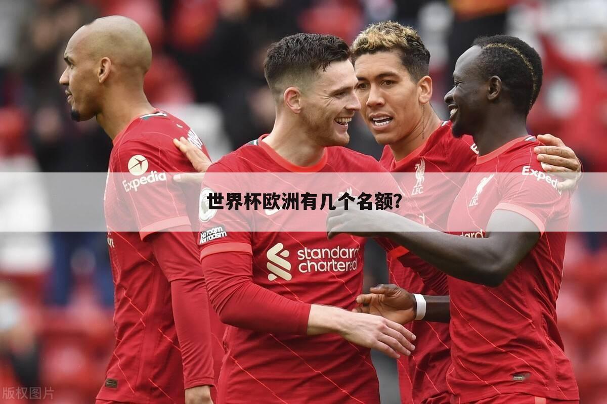 世界杯欧洲有几个名额?