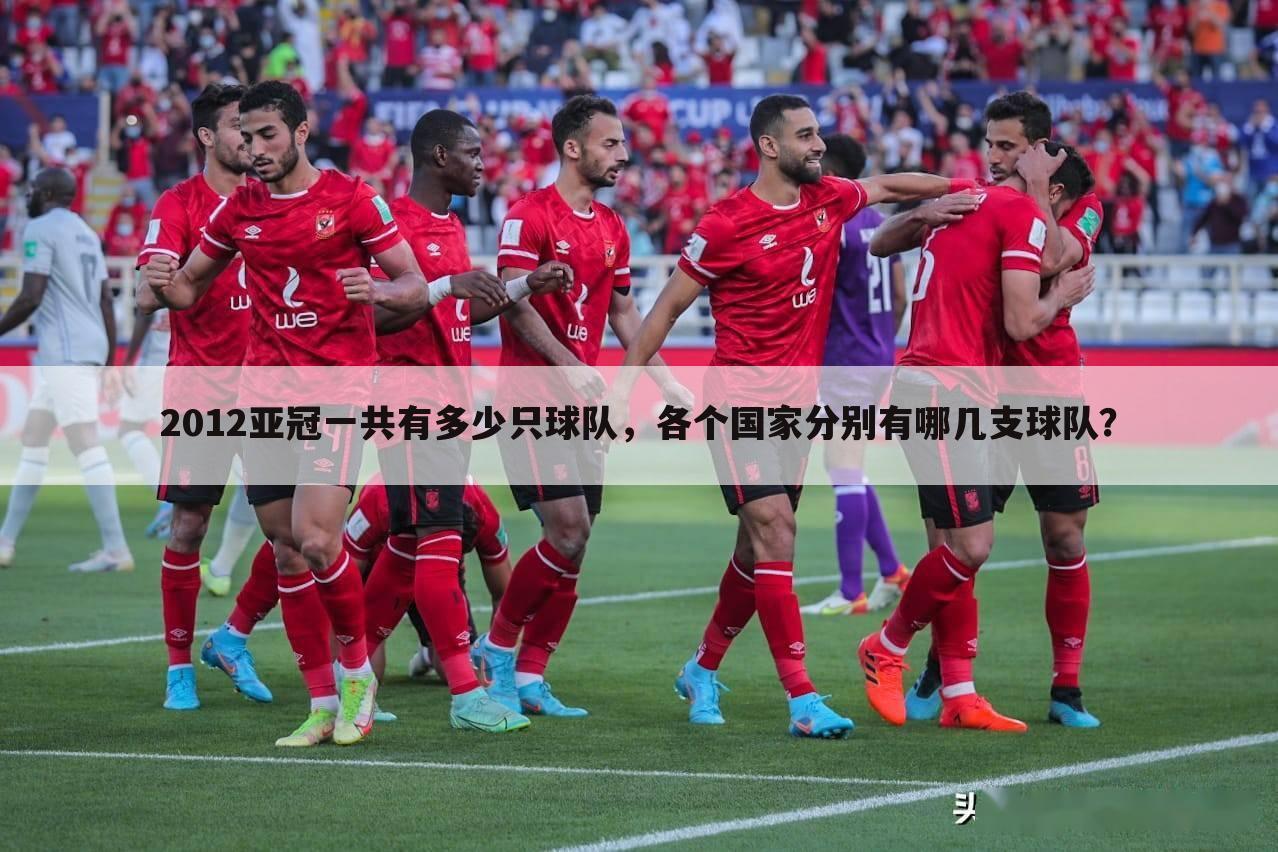 2012亚冠一共有多少只球队,各个国家分别有哪几支球队?