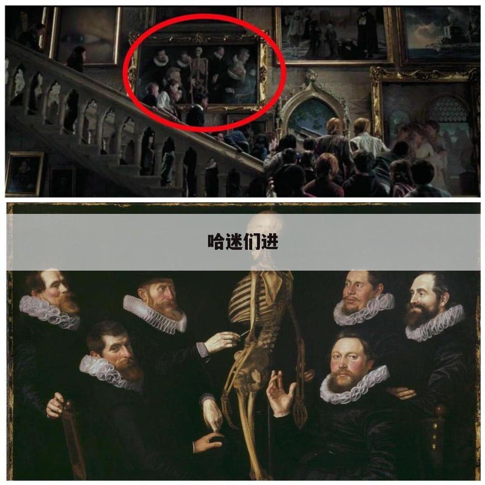 哈迷们进
