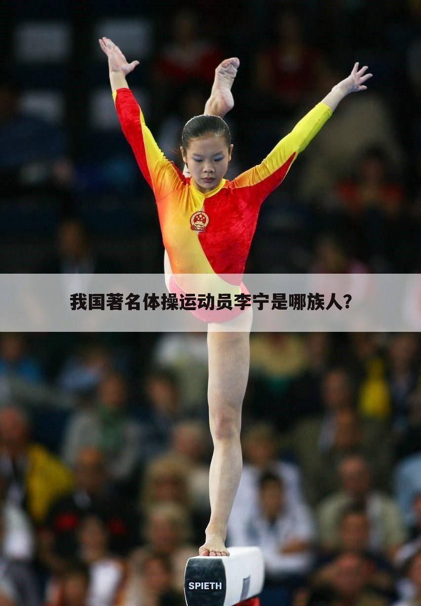 我国著名体操运动员李宁是哪族人?