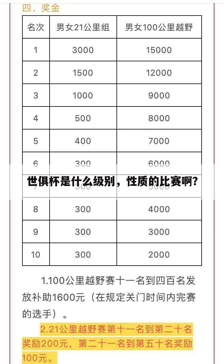 世俱杯是什么级别,性质的比赛啊?