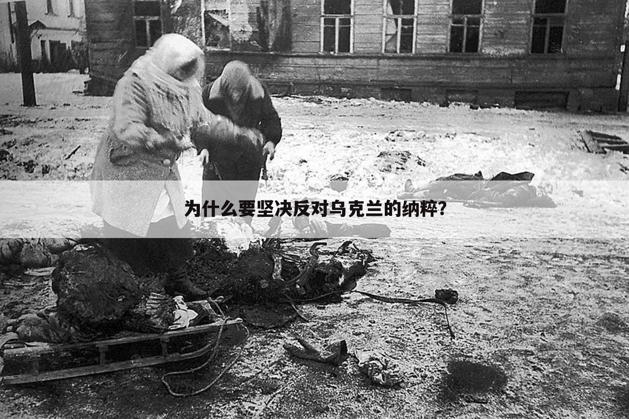 为什么要坚决反对乌克兰的纳粹?