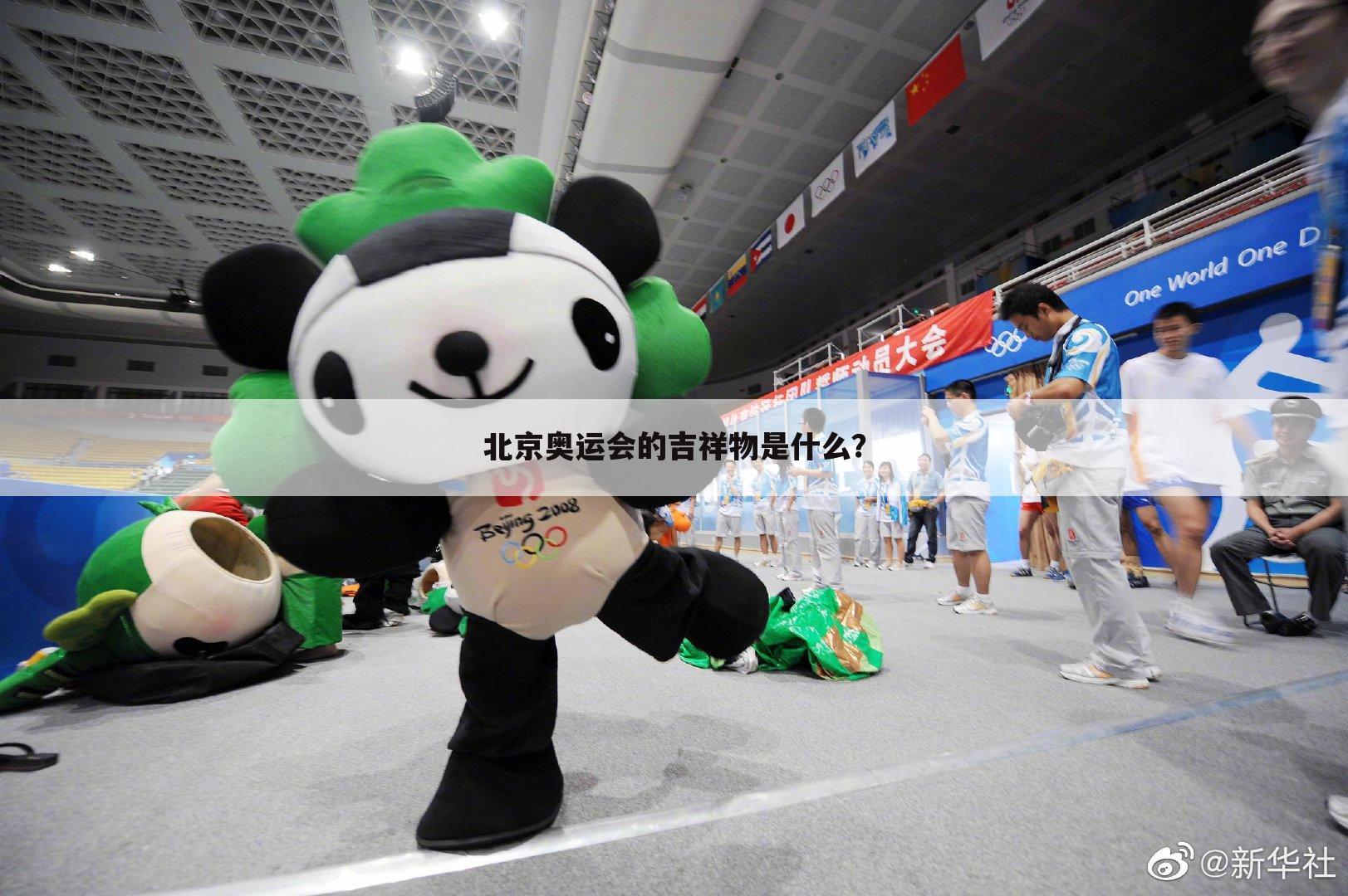 北京奥运会的吉祥物是什么?