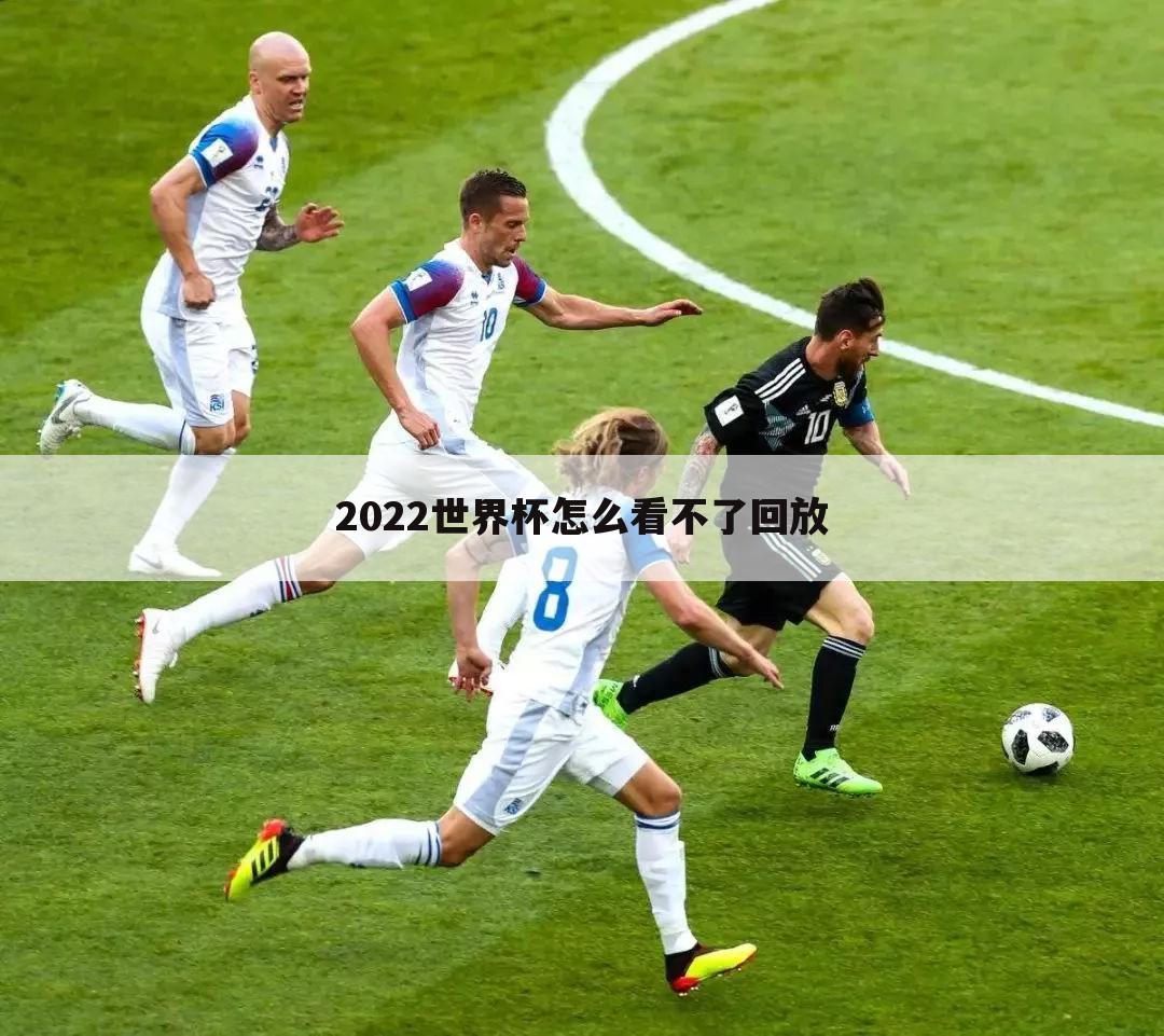 2022世界杯怎么看不了回放