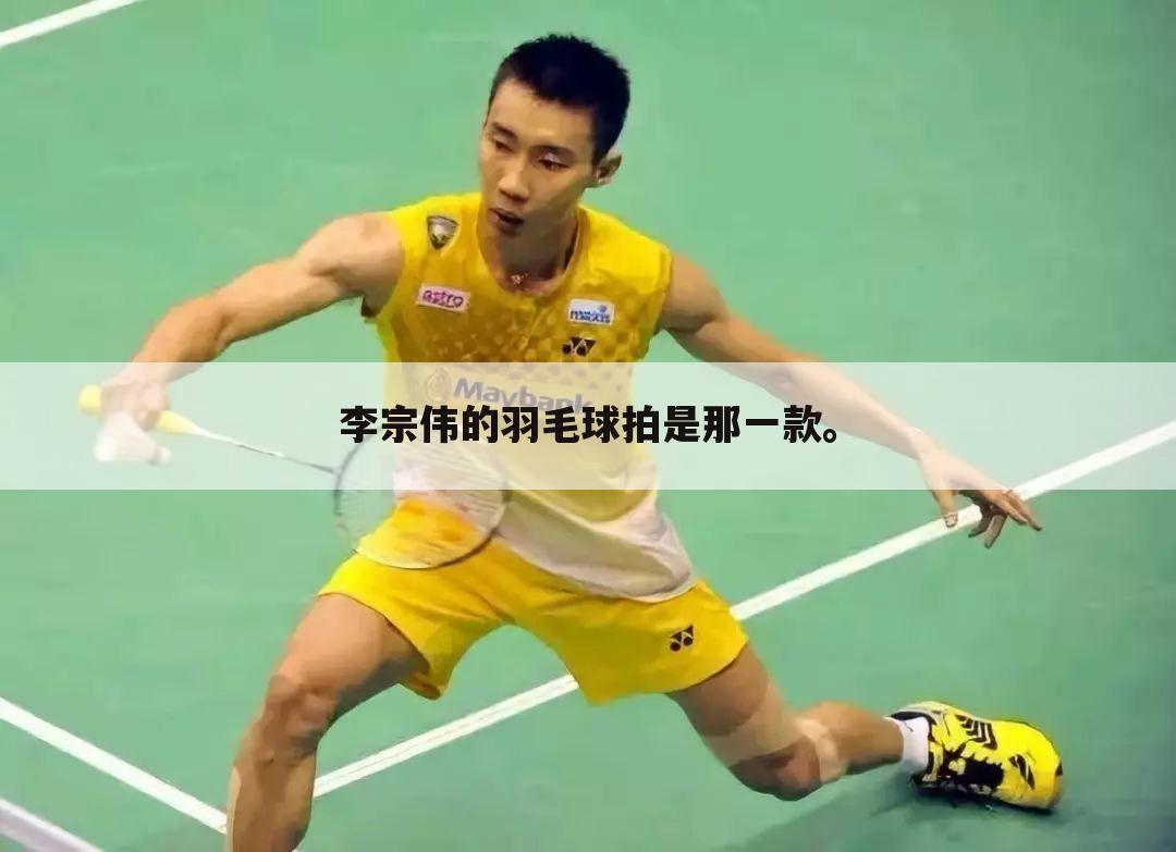 李宗伟的羽毛球拍是那一款。