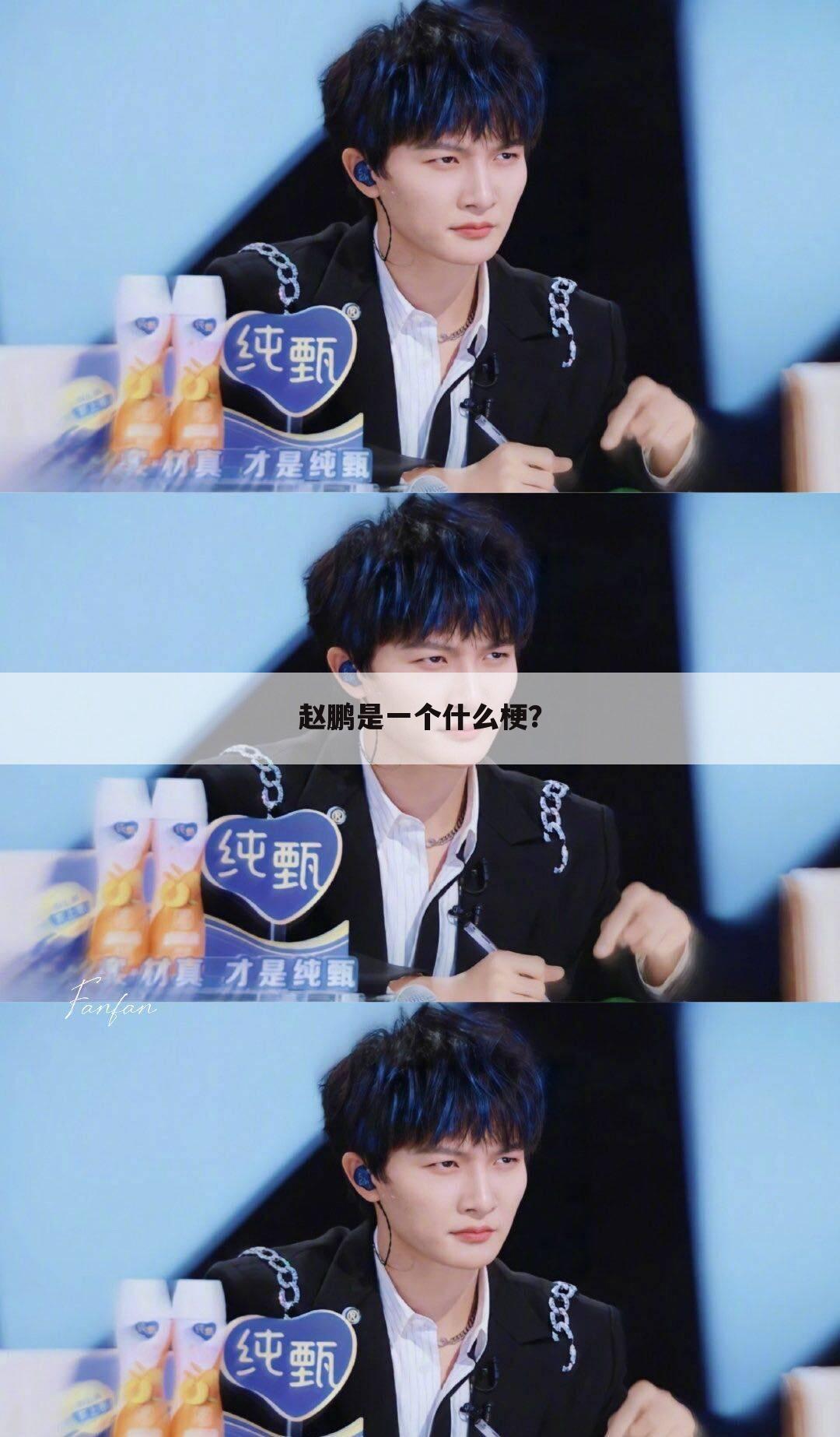 赵鹏是一个什么梗?