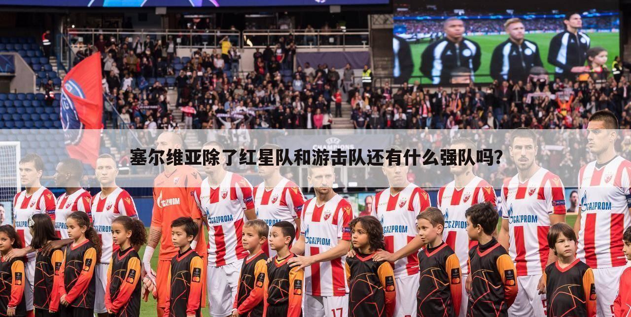 塞尔维亚除了红星队和游击队还有什么强队吗?