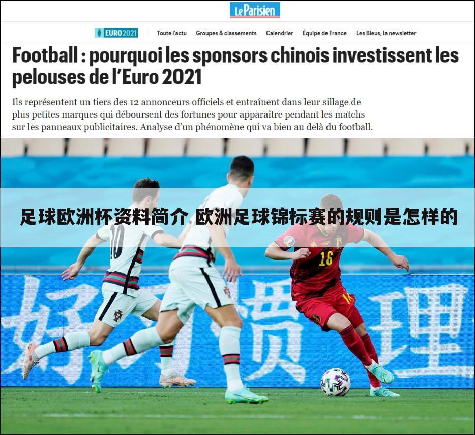 足球欧洲杯资料简介 欧洲足球锦标赛的规则是怎样的