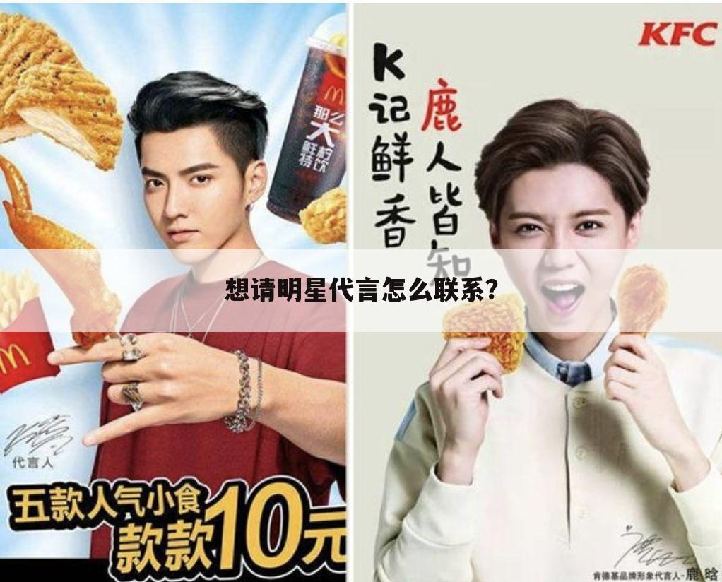 想请明星代言怎么联系?