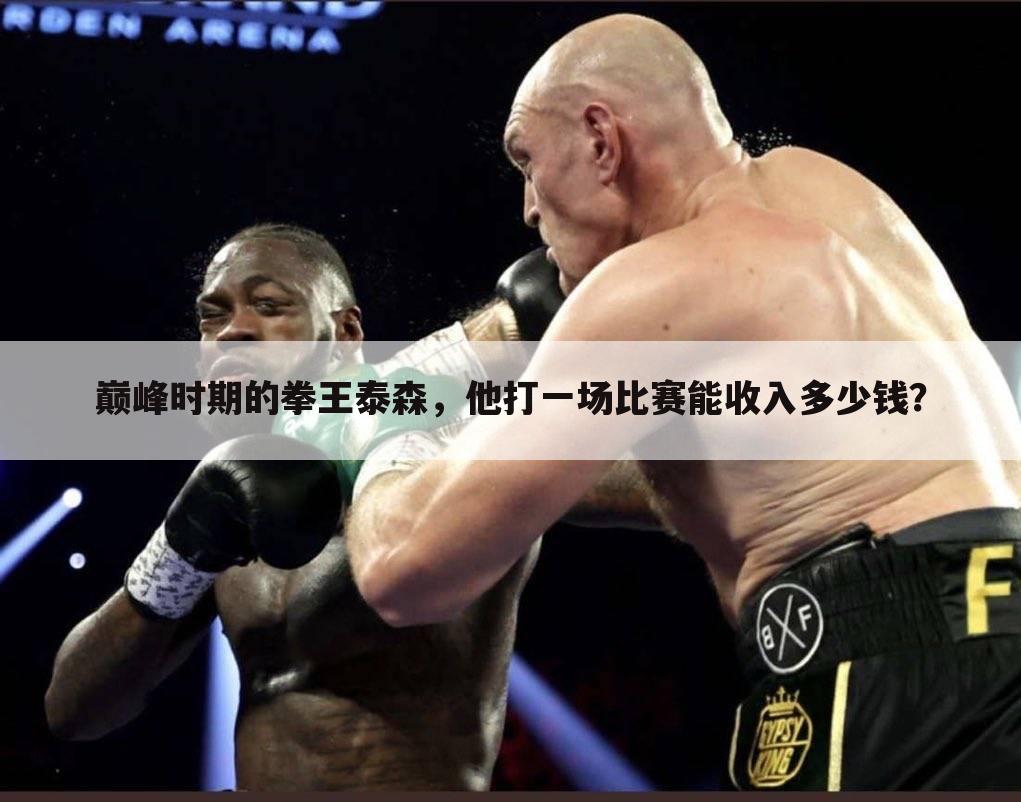 巅峰时期的拳王泰森,他打一场比赛能收入多少钱?
