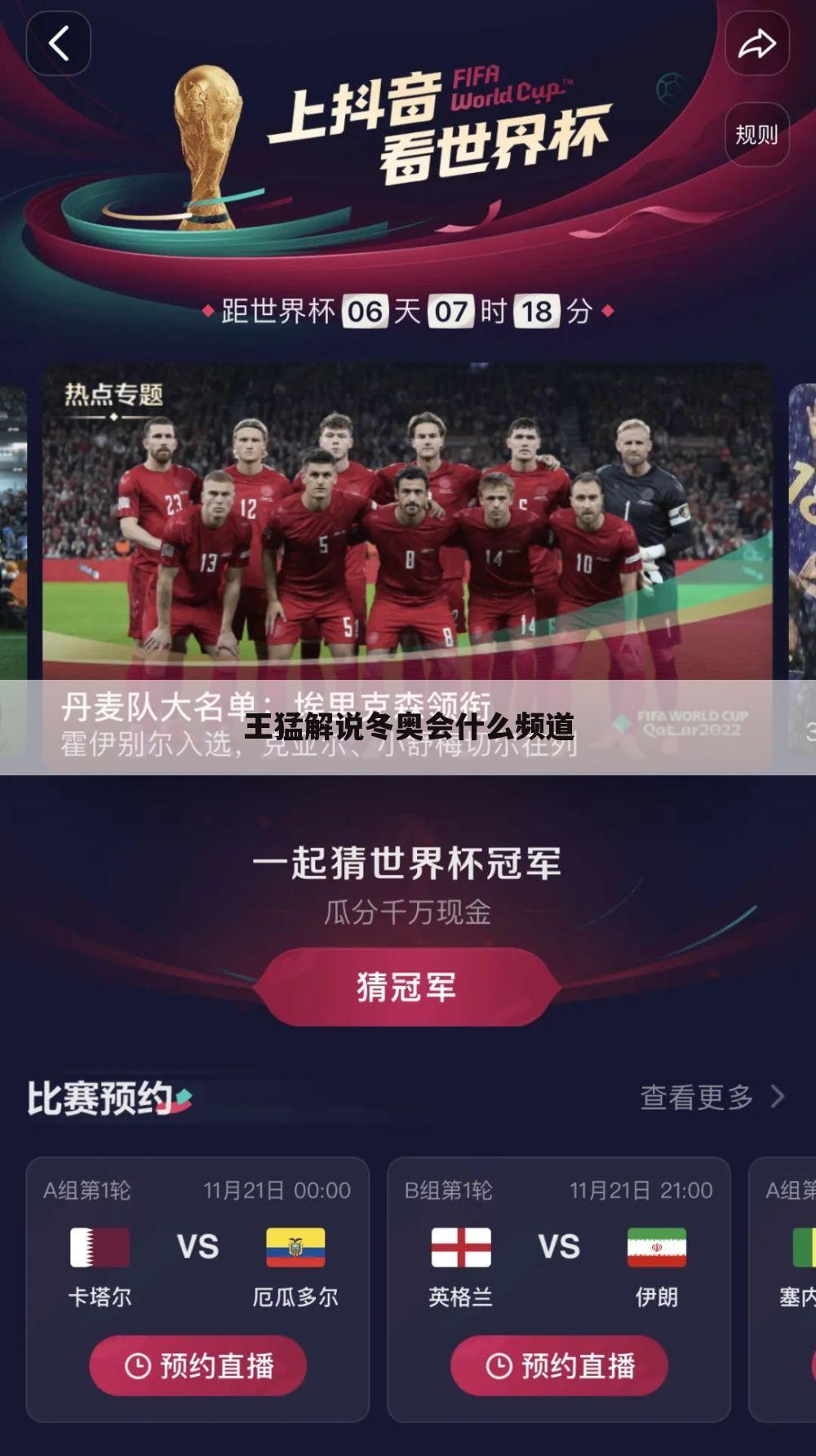 王猛解说冬奥会什么频道