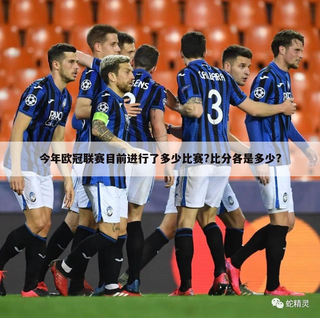 今年欧冠联赛目前进行了多少比赛?比分各是多少?