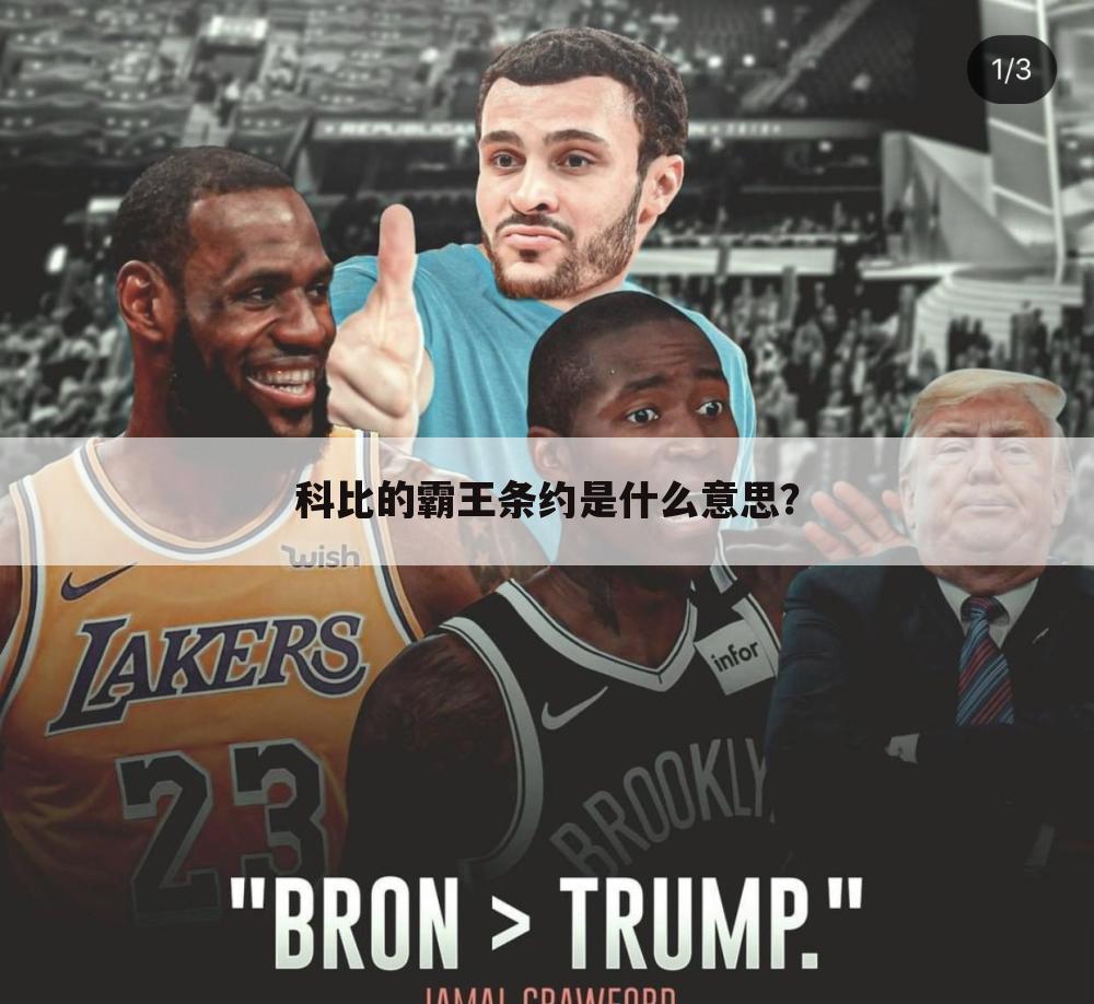 科比的霸王条约是什么意思?