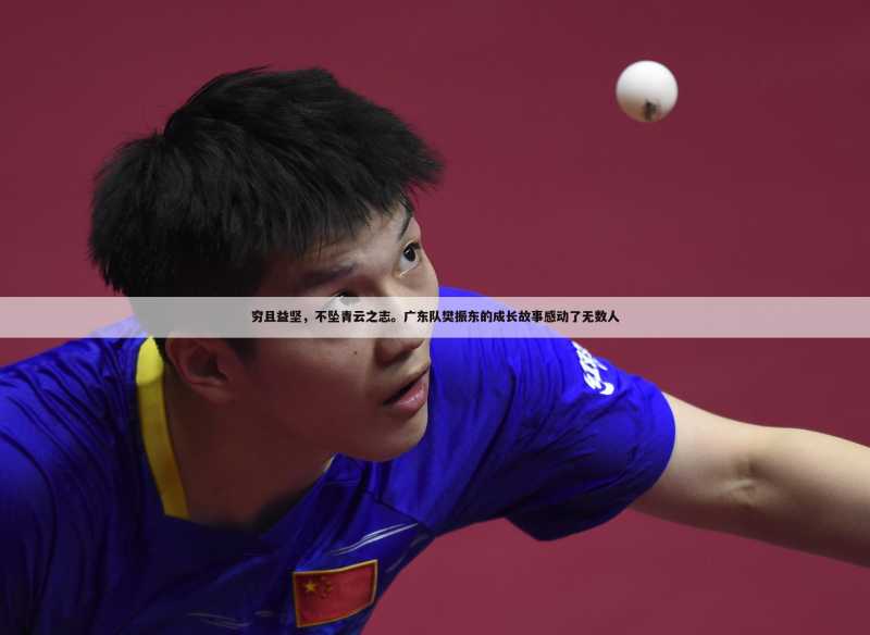 穷且益坚，不坠青云之志。广东队樊振东的成长故事感动了无数人
