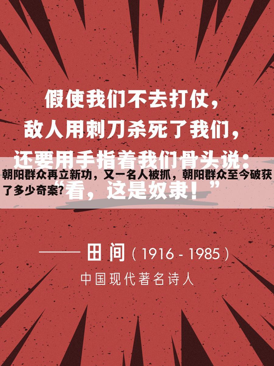 朝阳群众再立新功,又一名人被抓,朝阳群众至今破获了多少奇案?