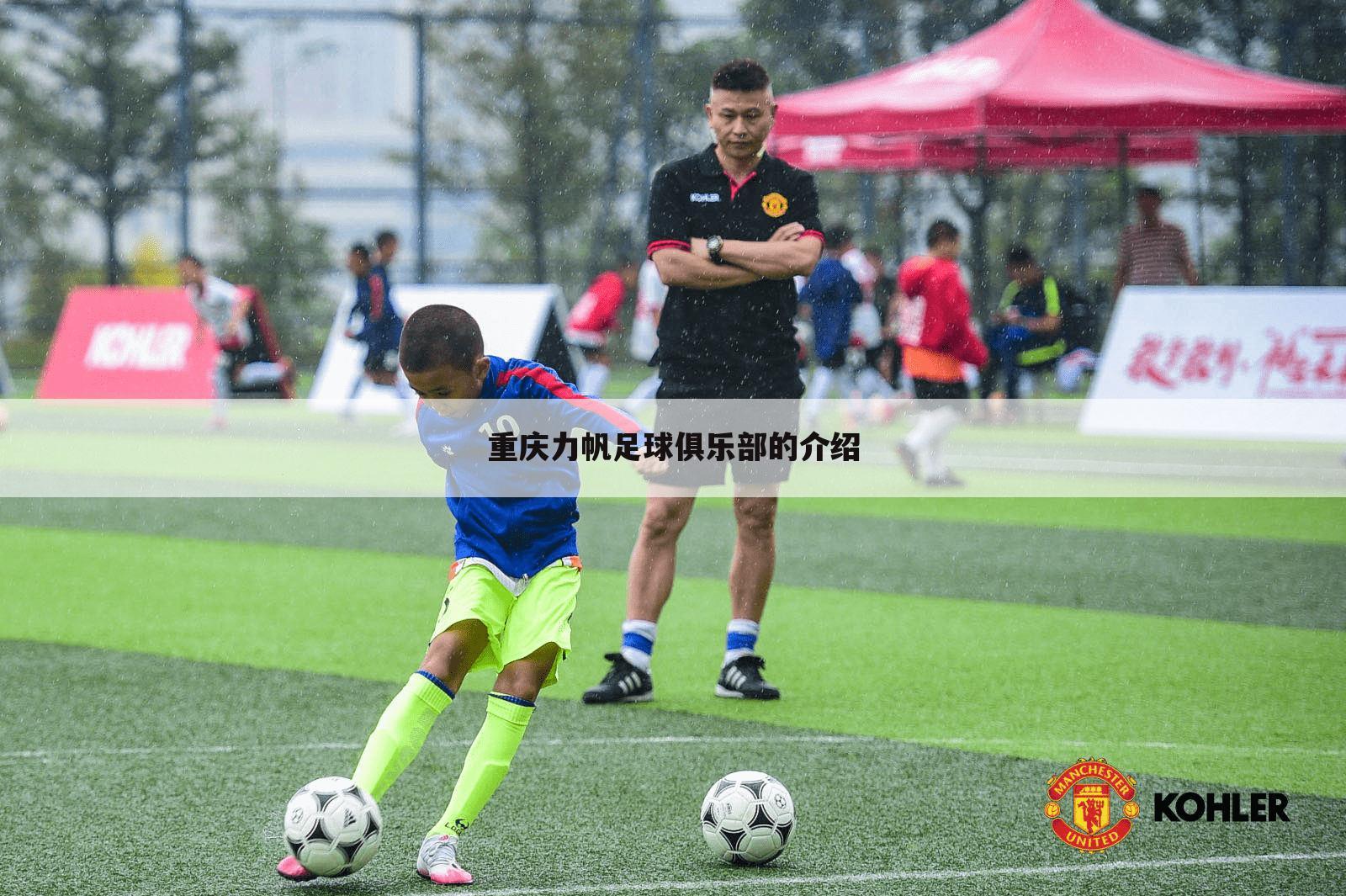 重庆力帆足球俱乐部的介绍