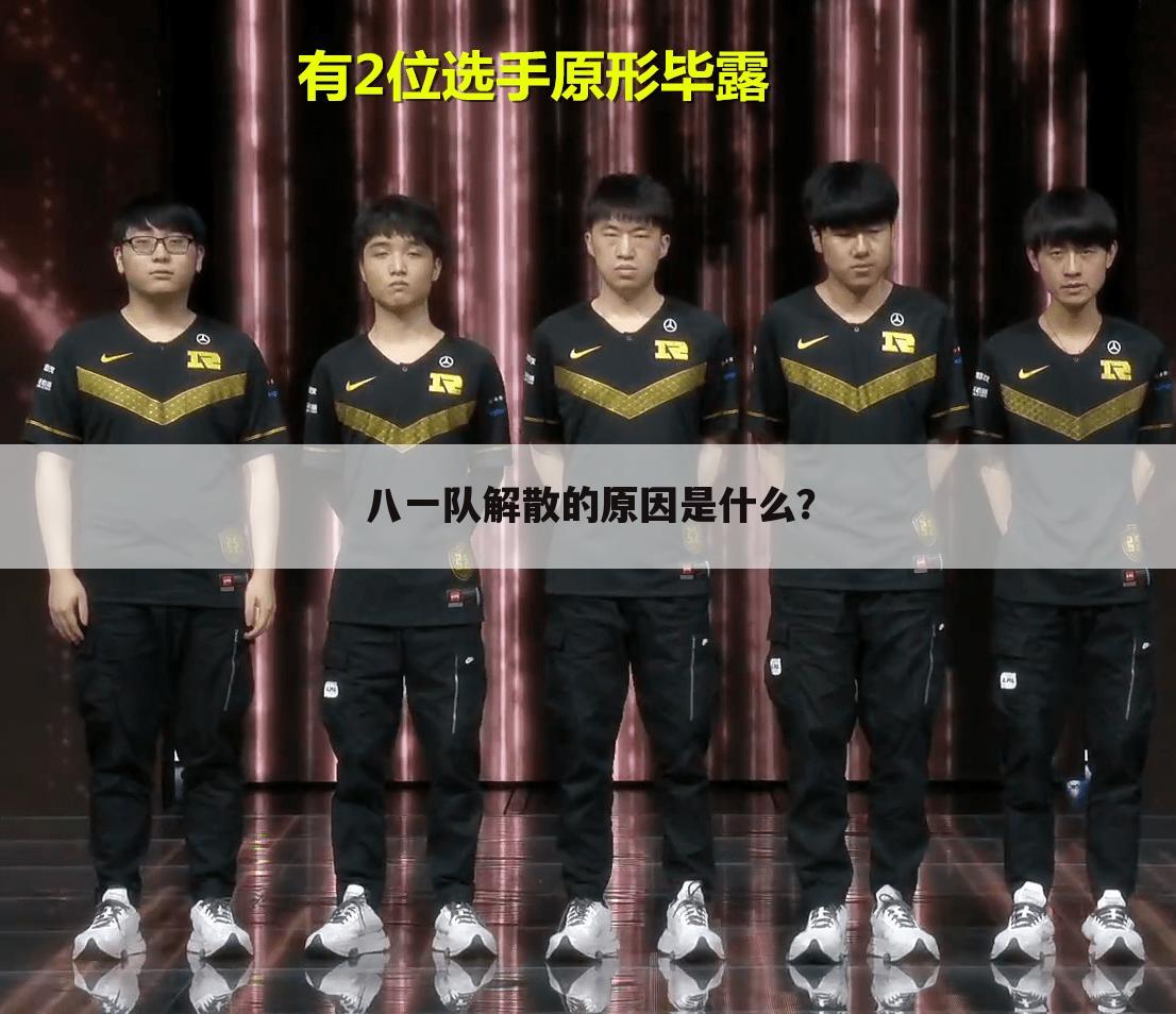 八一队解散的原因是什么?