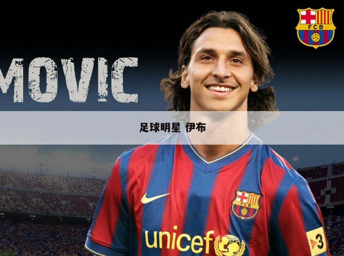 足球明星 伊布