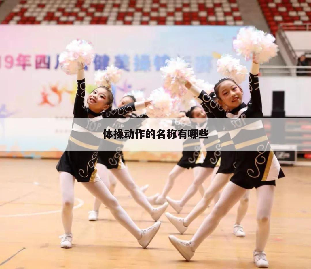 体操动作的名称有哪些
