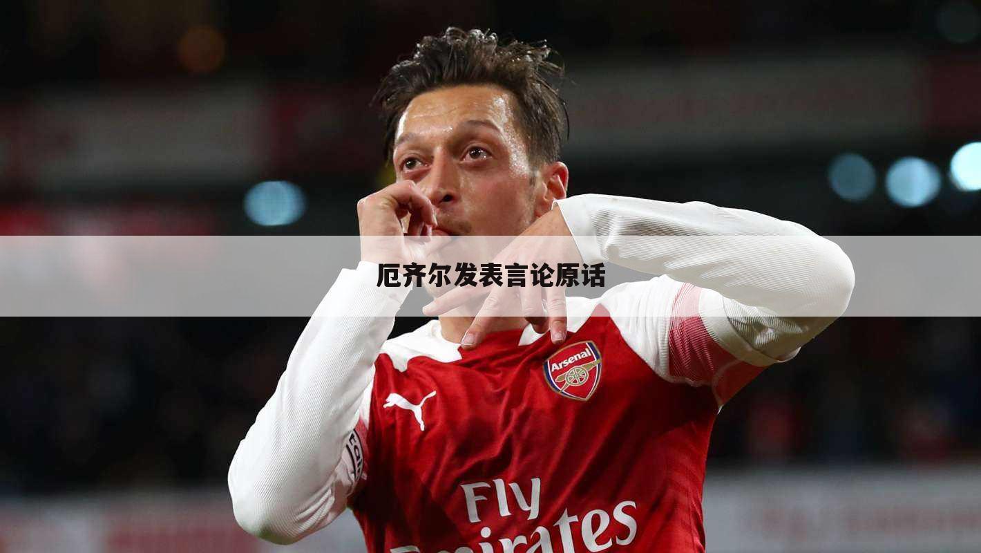 厄齐尔发表言论原话