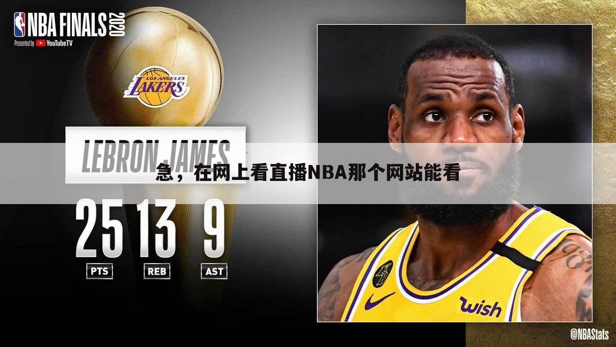 急,在网上看直播NBA那个网站能看