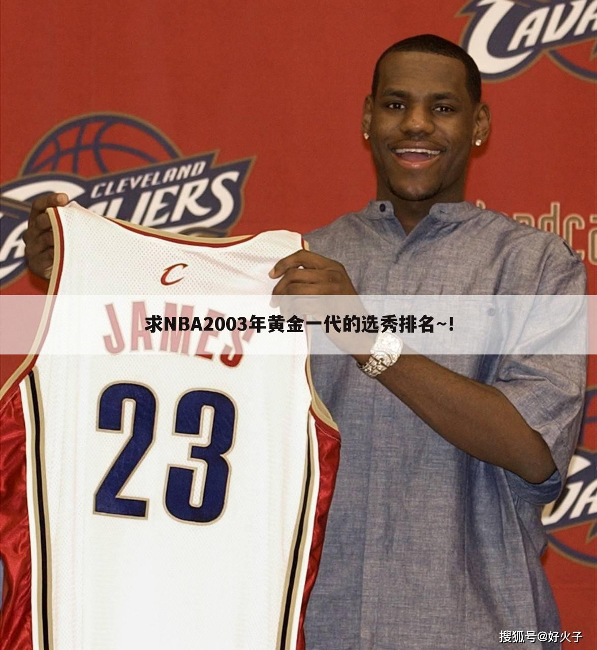 求NBA2003年黄金一代的选秀排名~!