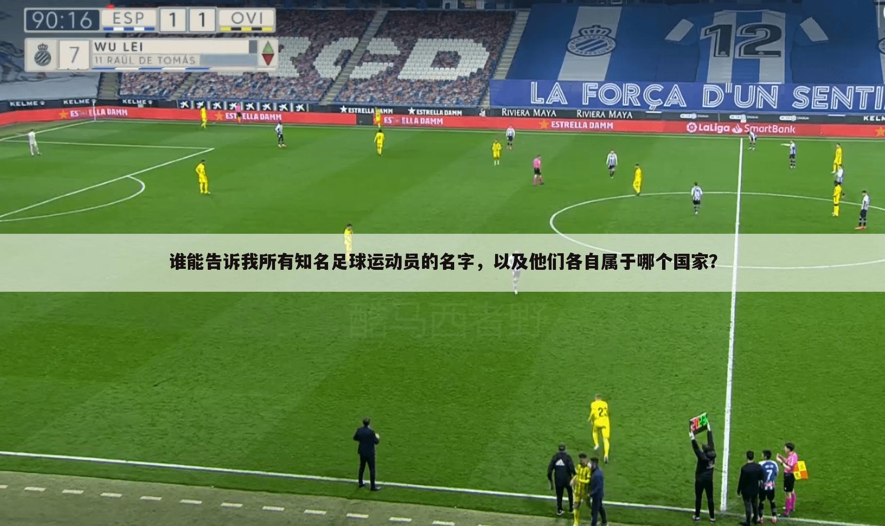 谁能告诉我所有知名足球运动员的名字,以及他们各自属于哪个国家?
