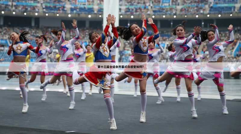第十三届全运会开幕式你感觉如何?