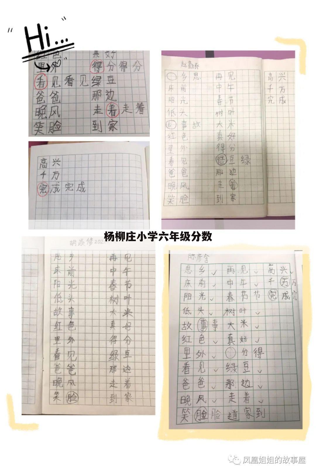 杨柳庄小学六年级分数