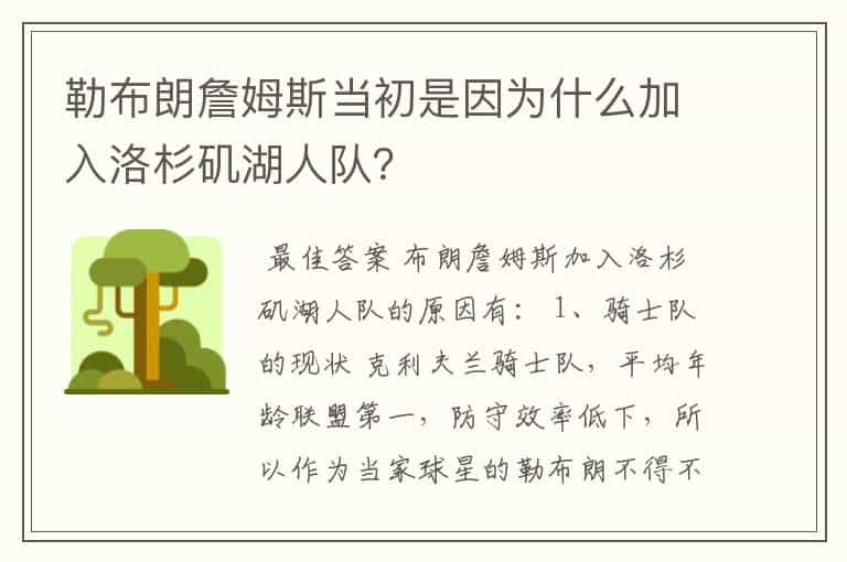 勒布朗詹姆斯当初是因为什么加入洛杉矶湖人队?