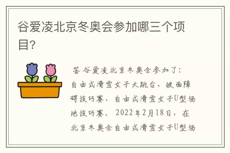 谷爱凌北京冬奥会参加哪三个项目?