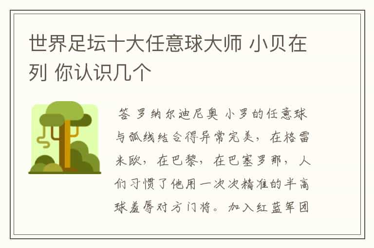 世界足坛十大任意球大师 小贝在列 你认识几个