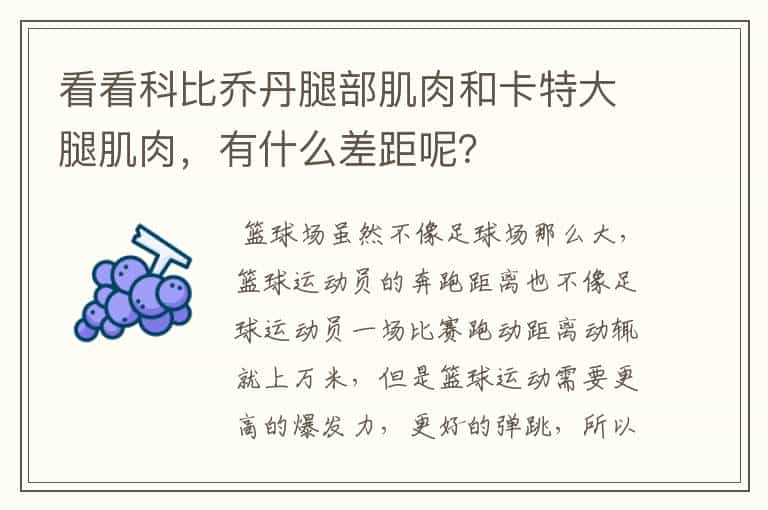 看看科比乔丹腿部肌肉和卡特大腿肌肉,有什么差距呢?