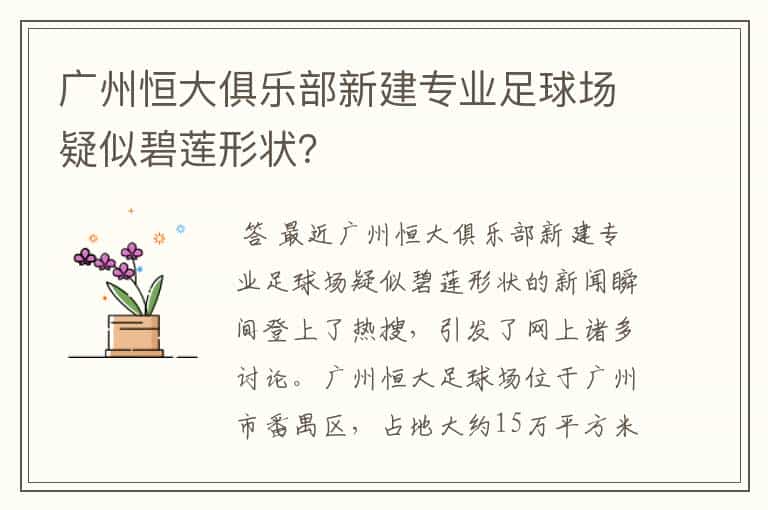 广州恒大俱乐部新建专业足球场疑似碧莲形状?