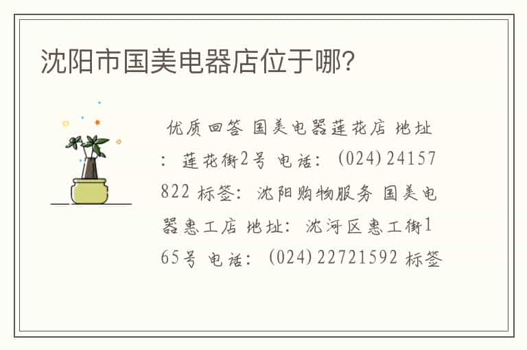 沈阳市国美电器店位于哪?